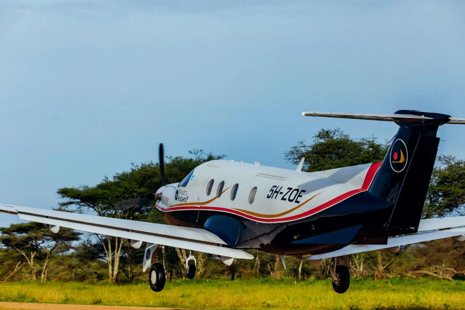 Pilatus PC-12/45 5H-ZOE operated by Coastal Aviation photo 6