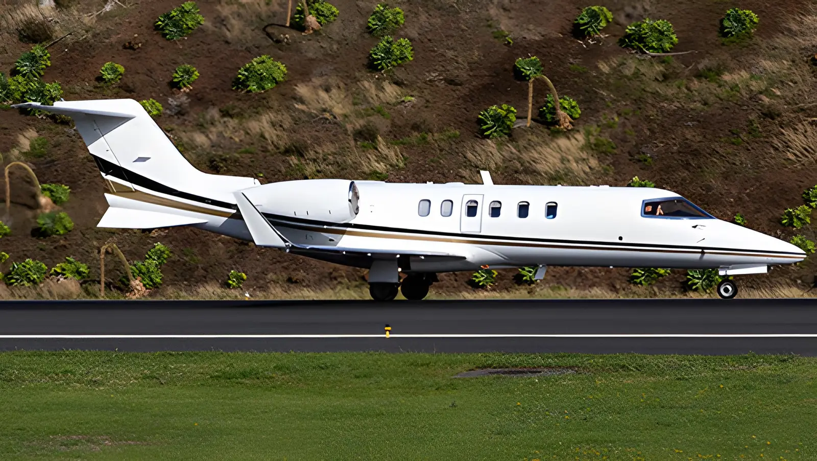 Bombardier Learjet 45 C-FEMC operated by Fox Flight Air Ambulance photo 2