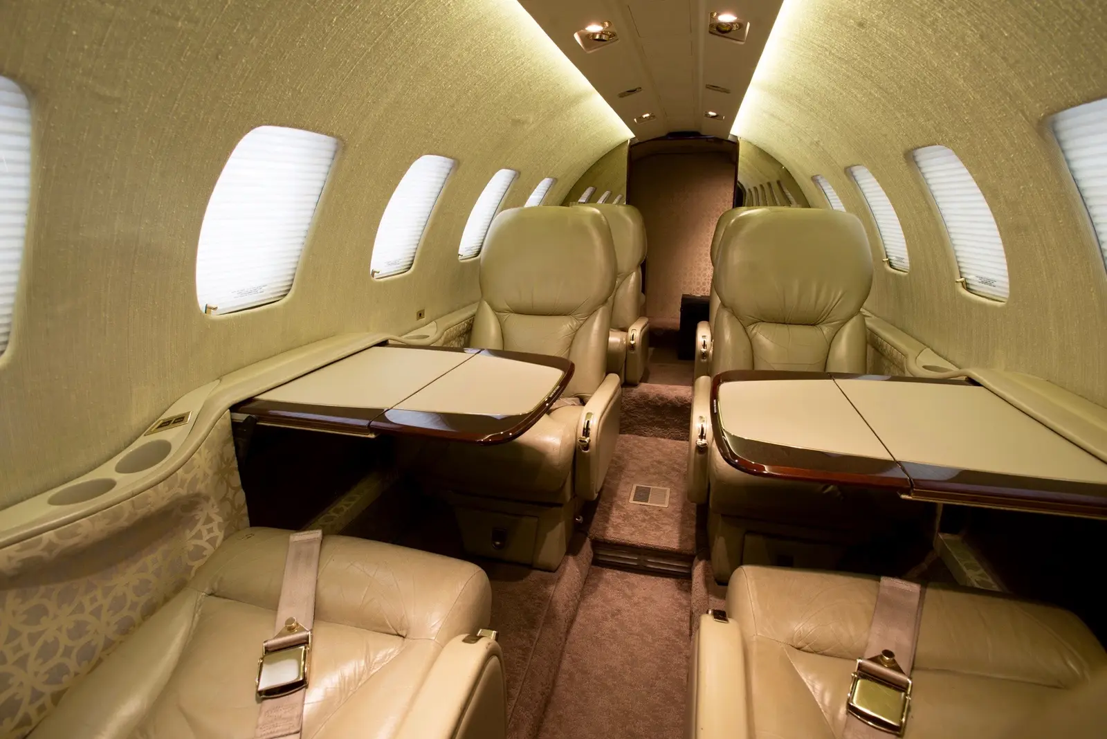 Cessna Citation Bravo CP-2790 operated by Aeroeste photo 2