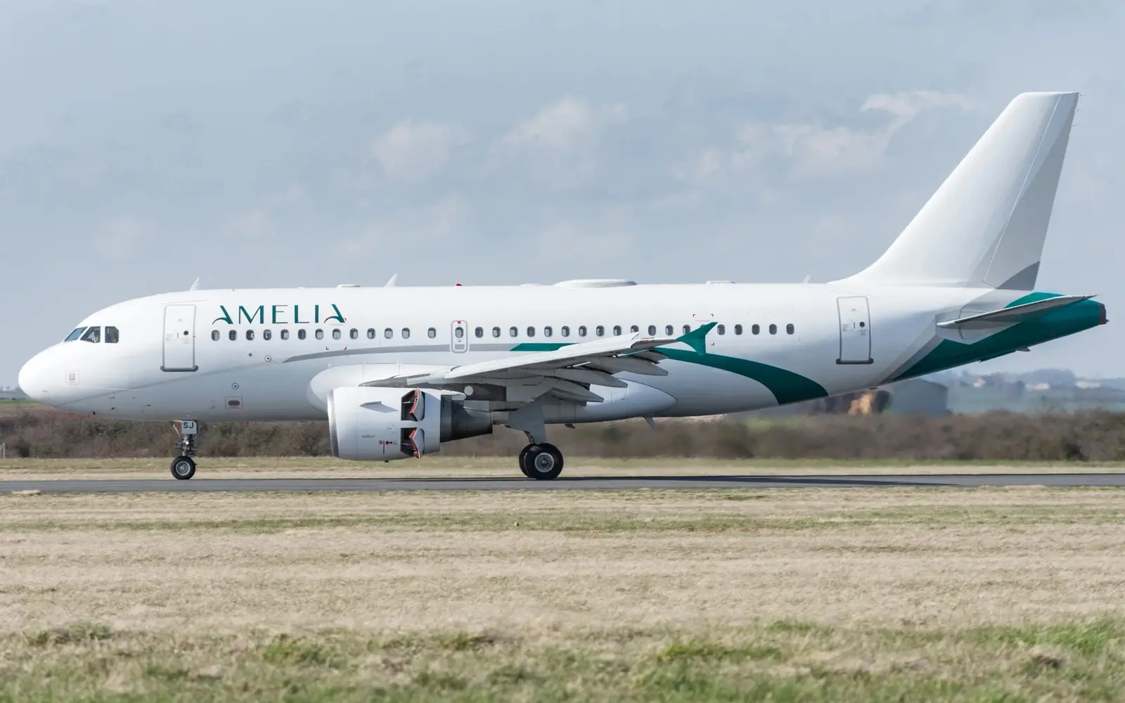 Airbus A319-112 F-HDSJ operated by Amelia by Regourd Aviation photo 4