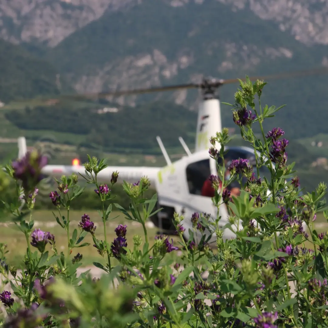 Guimbal Cabri G2 I-CABB operated by ItalFly photo 2