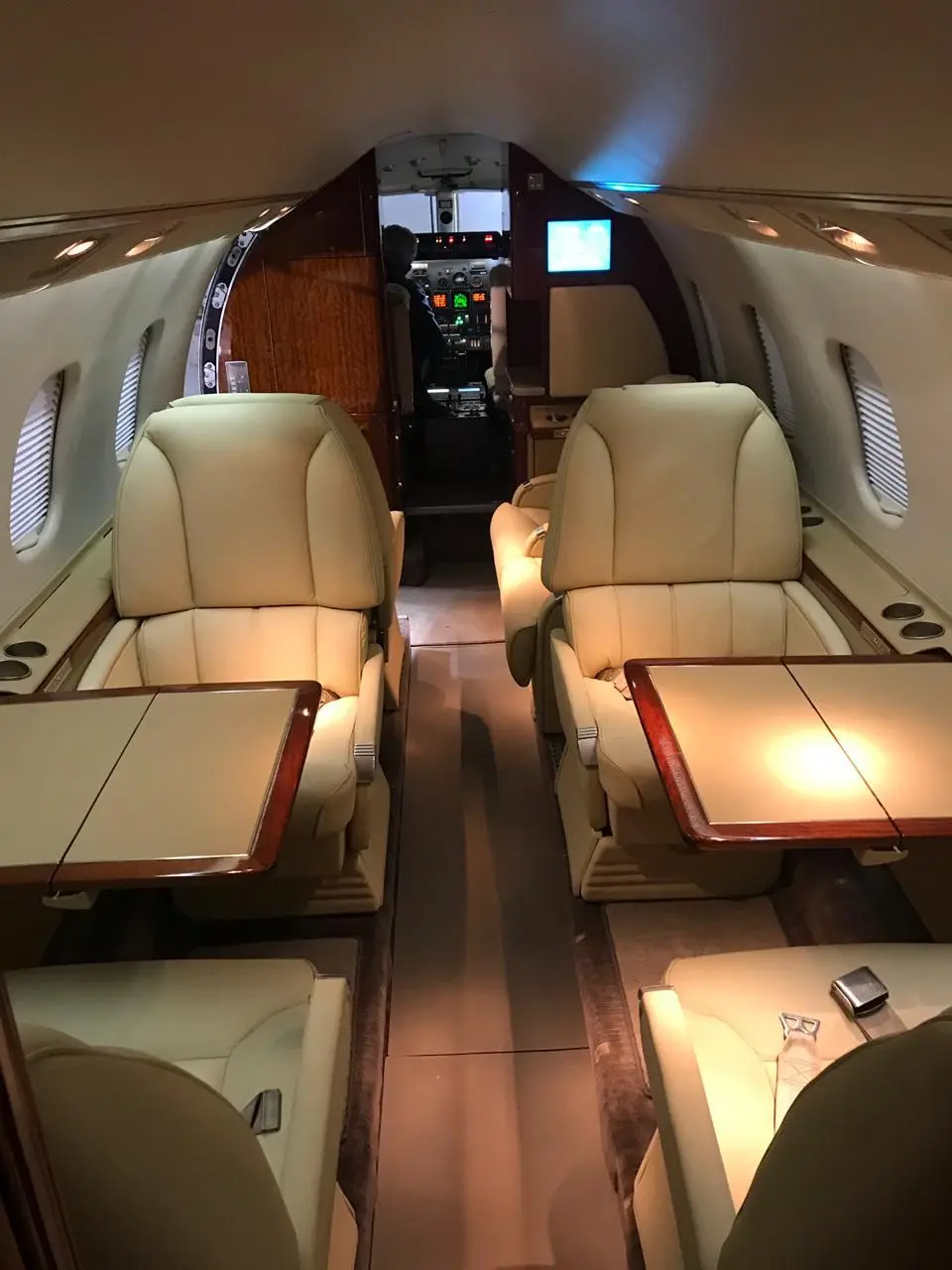 Bombardier Learjet 60 LV-CZX operated by Royal Class Private Flights photo 2