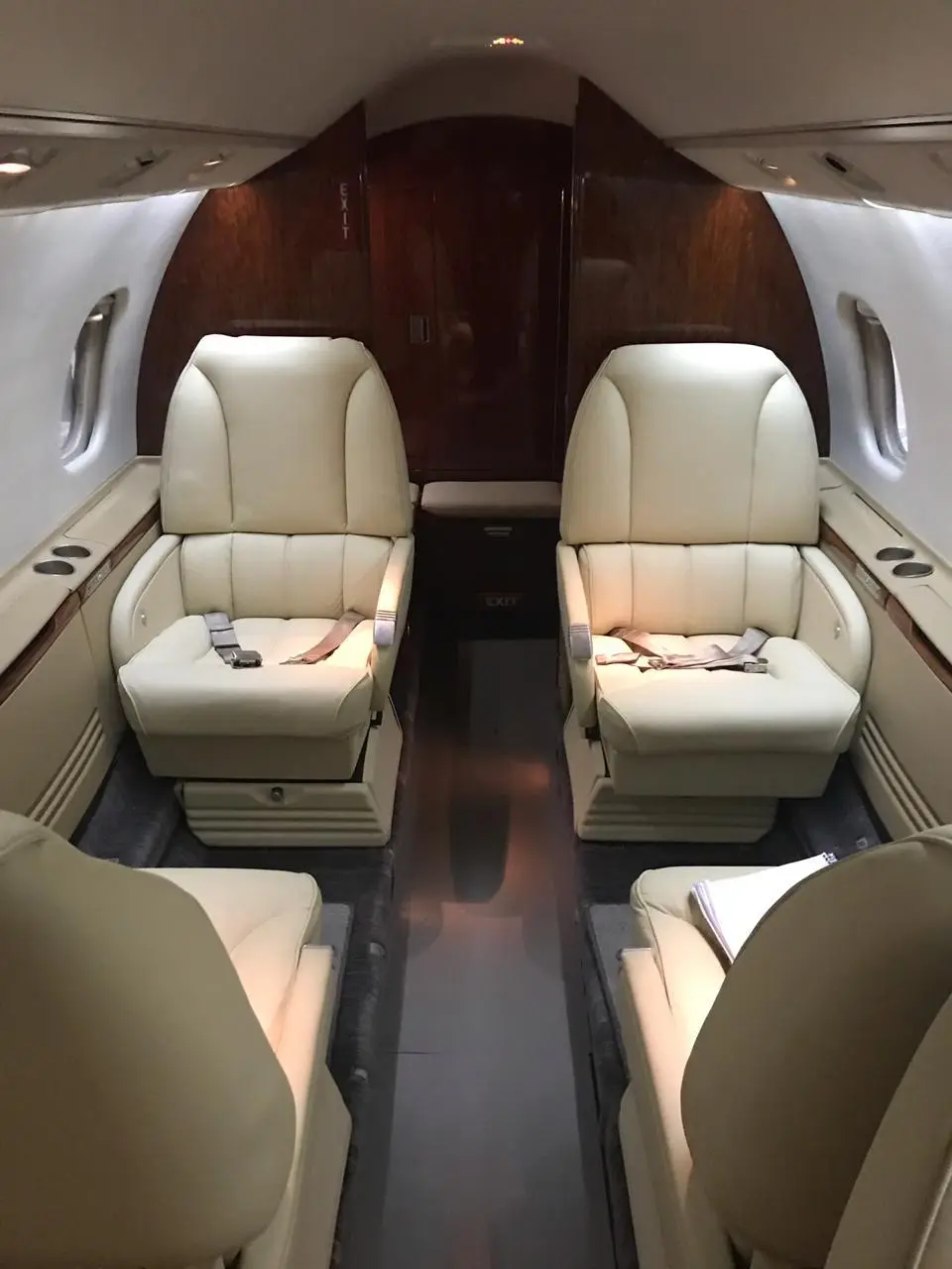 Bombardier Learjet 60 LV-CZX operated by Royal Class Private Flights photo 3