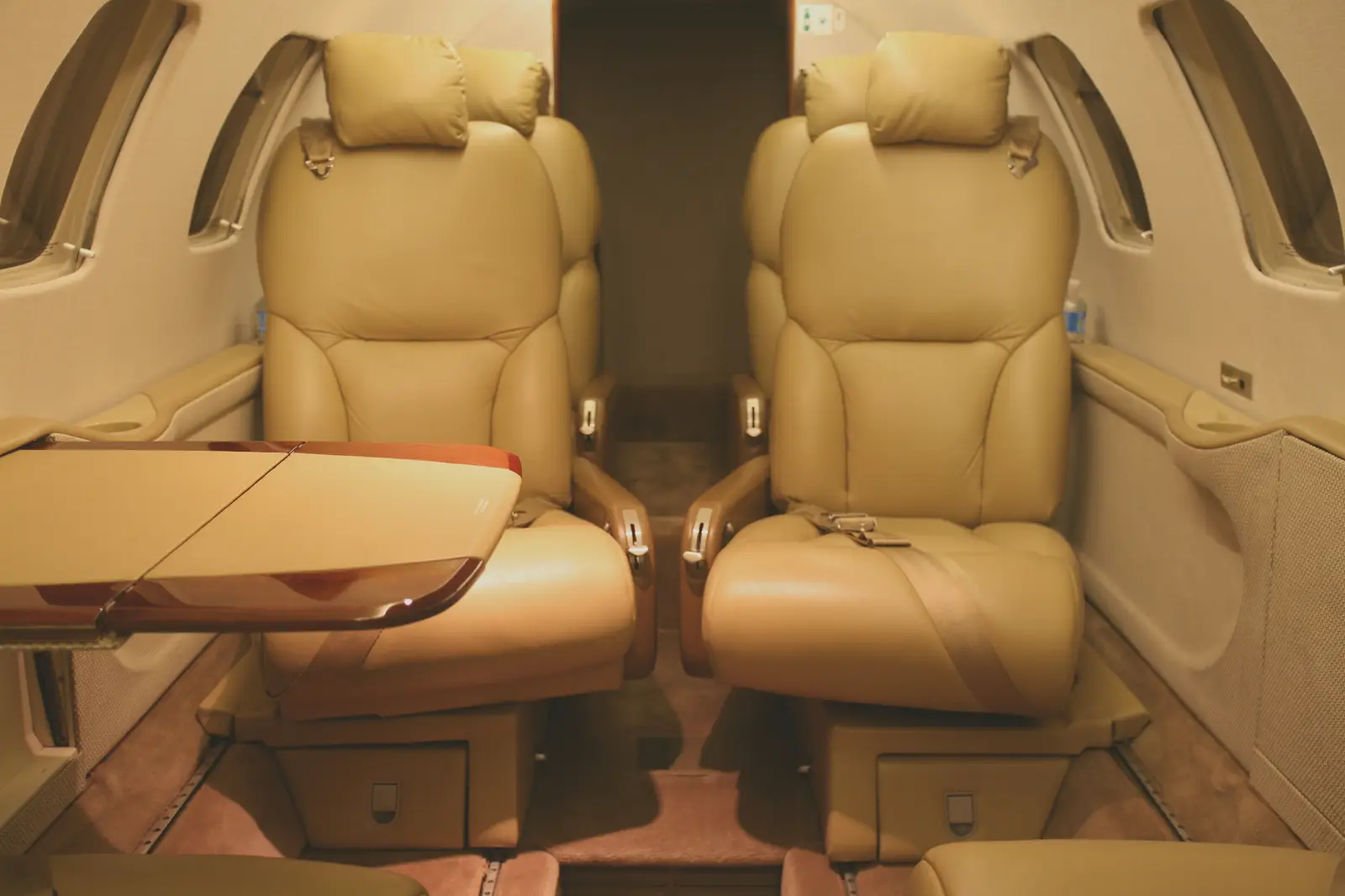 Cessna Citation Bravo N1000E operated by American Jet Charter, Inc photo 2