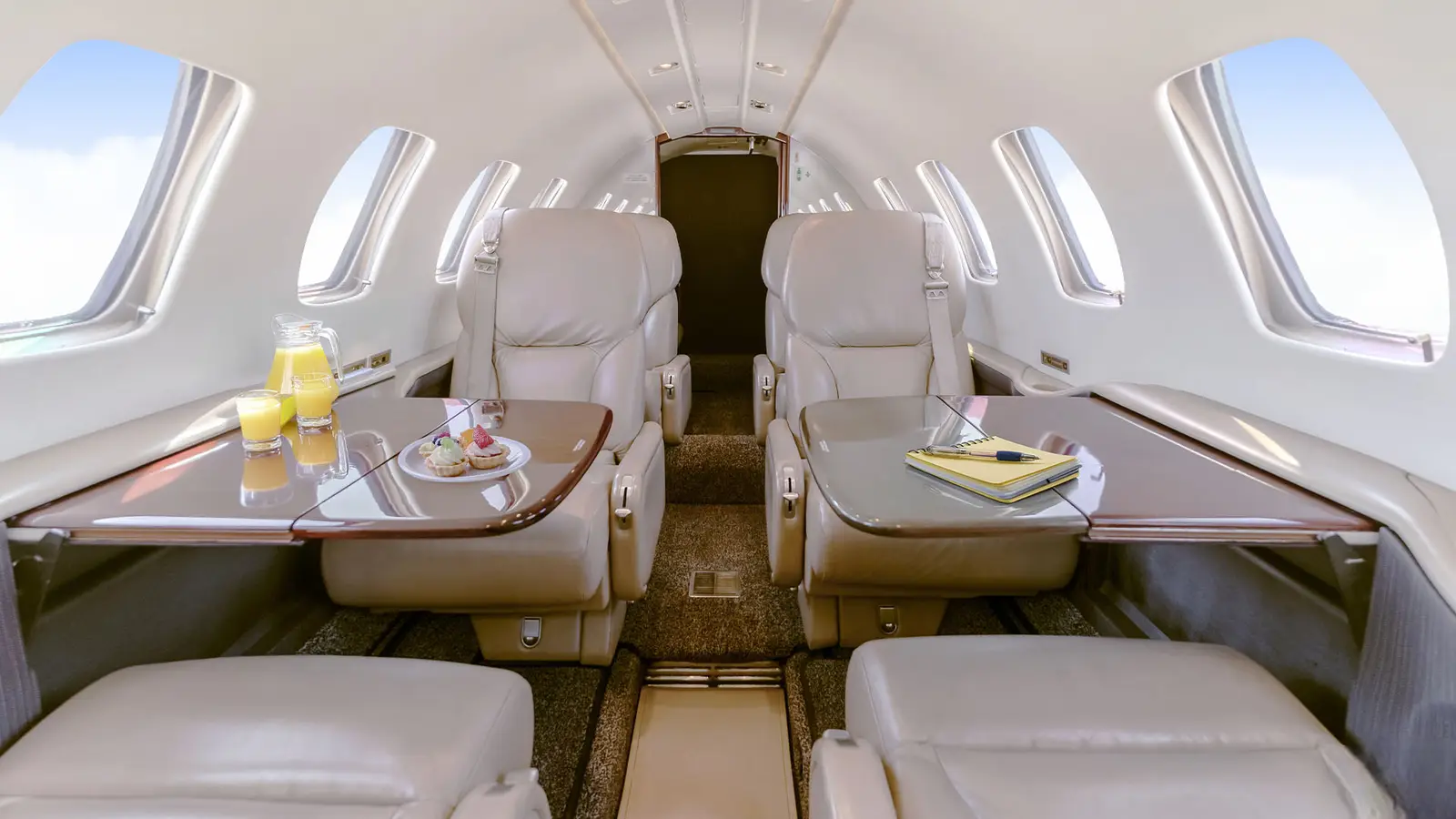 Cessna Citation Bravo N124PM operated by Southern Sky Aviation, LLC photo 3