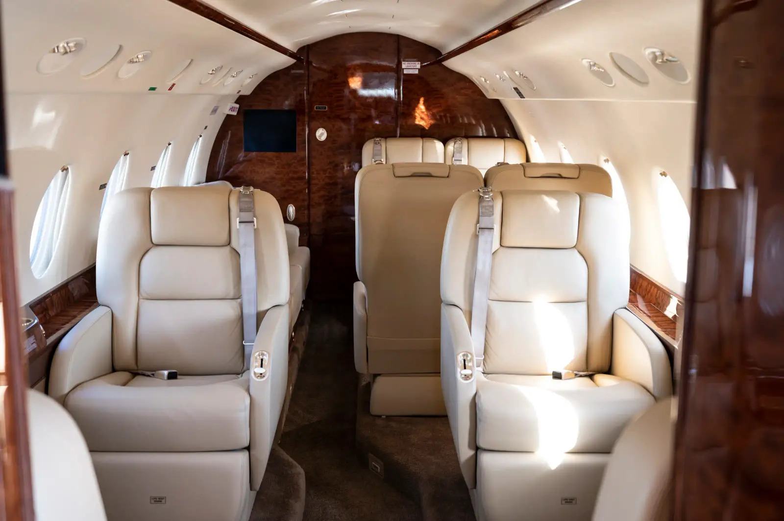 Gulfstream G200 N196X operated by Blue Skies Aviation photo 2