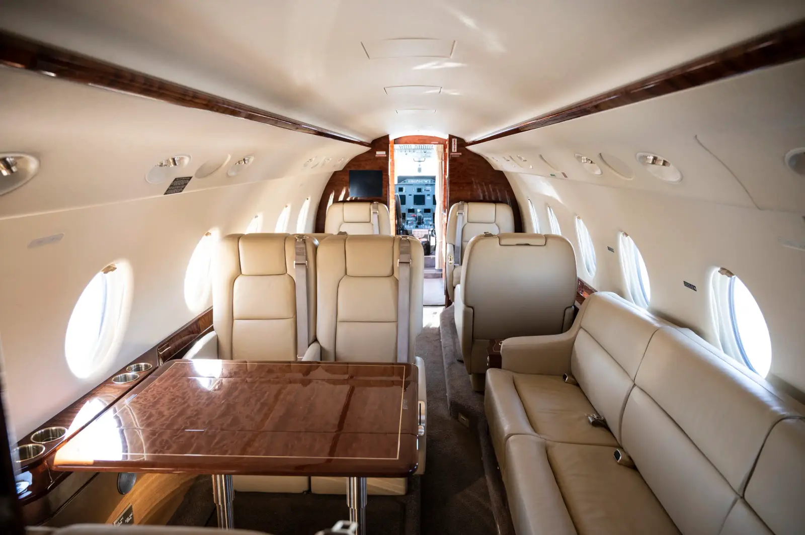 Gulfstream G200 N196X operated by Blue Skies Aviation photo 3