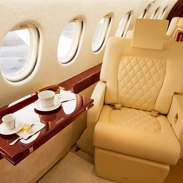 Dassault Falcon 2000 N214LD operated by Rennia Aviation, LLC, KGNV photo 6