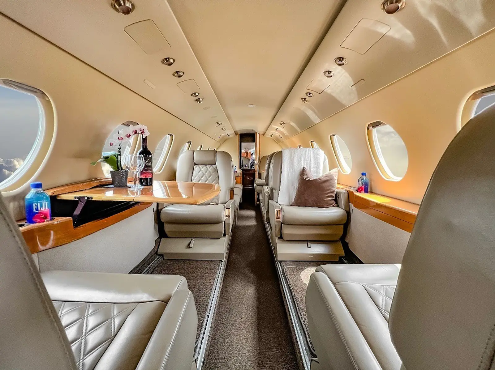 Dassault Falcon 50 N217PT operated by Lyon Aviation, Inc. photo 2