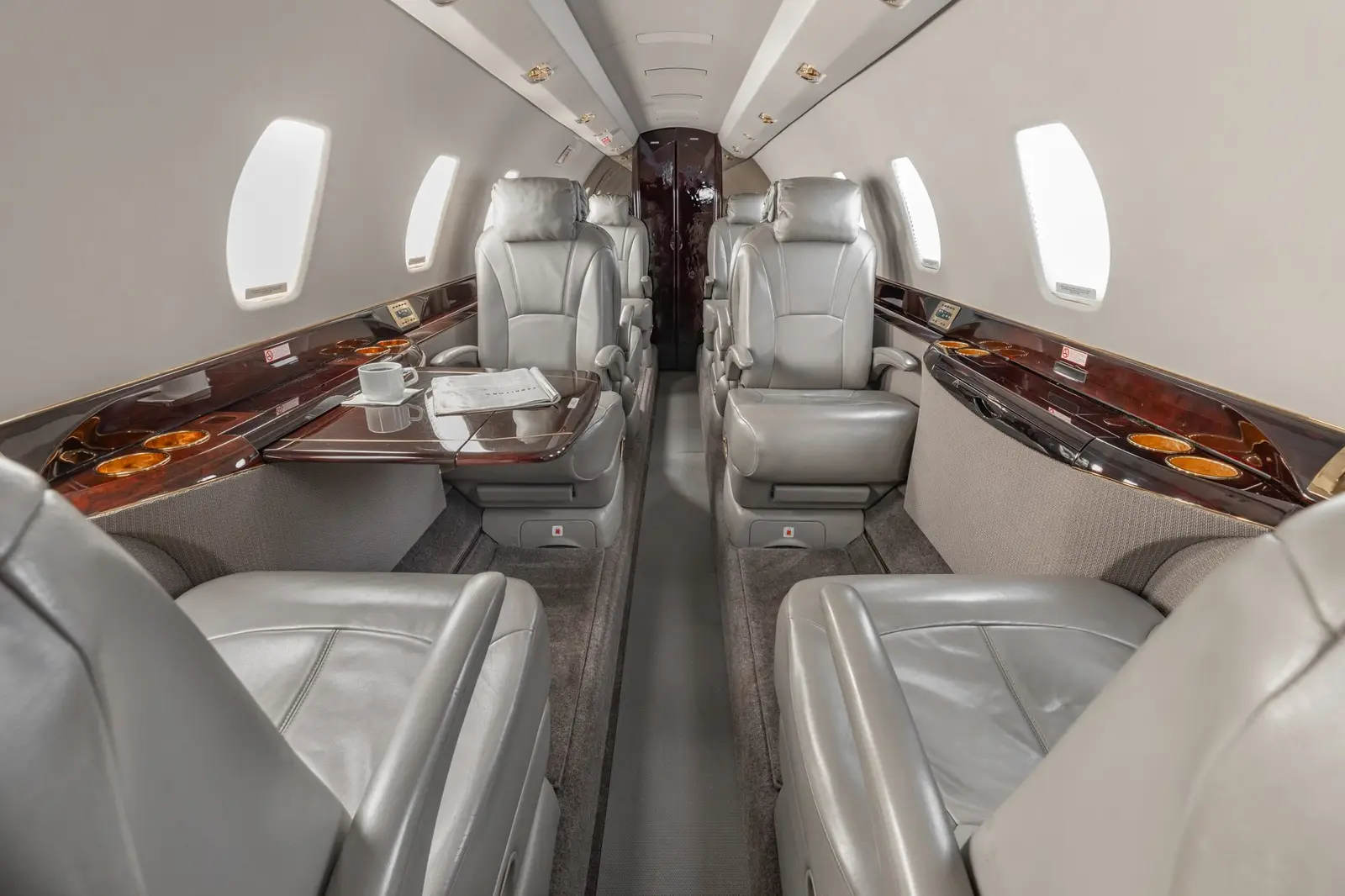 Cessna Citation X N225GT operated by Charter Airlines, LLC photo 2
