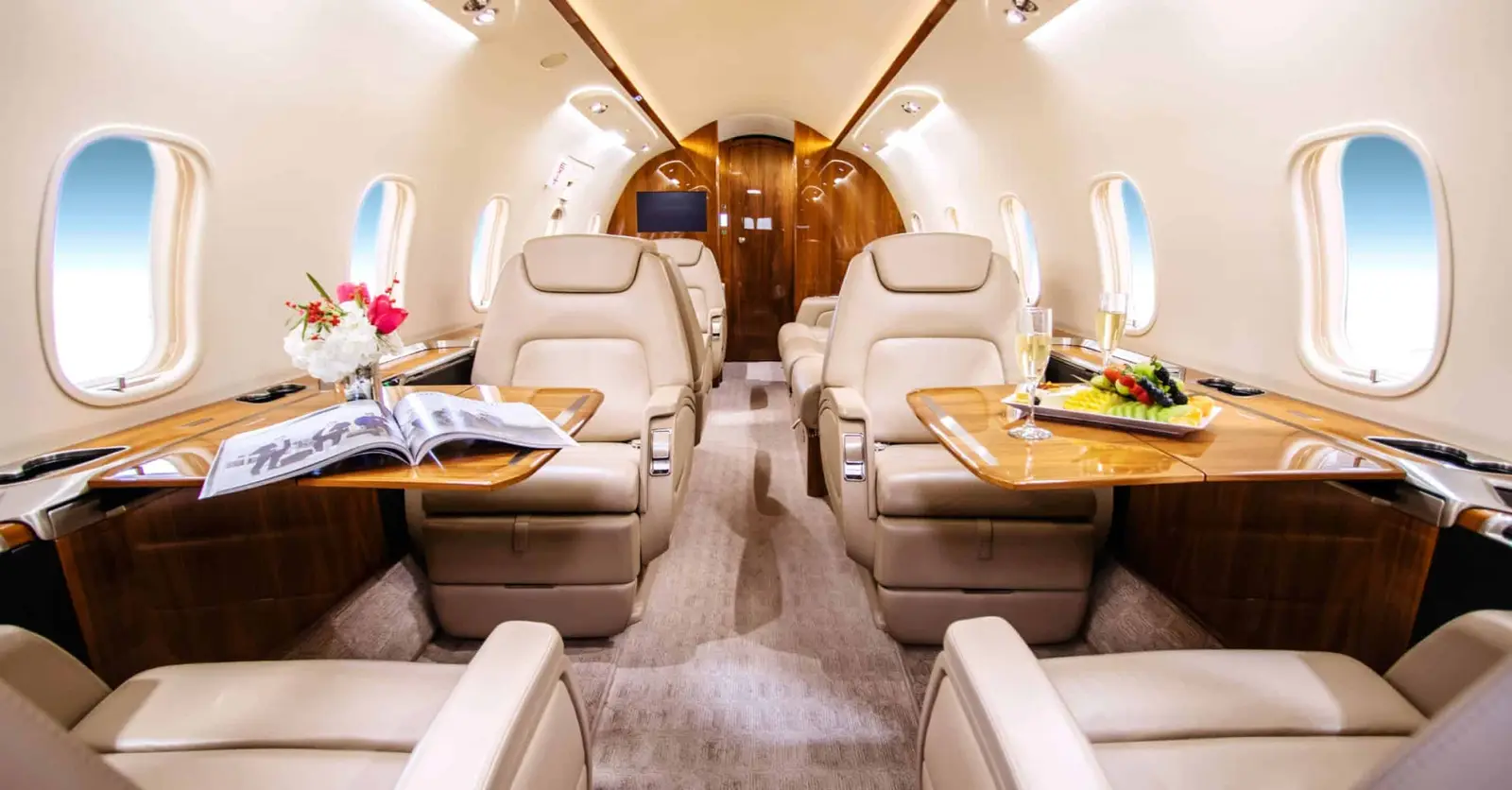 Bombardier Challenger 350 N257RY operated by Business Jet Services photo 6