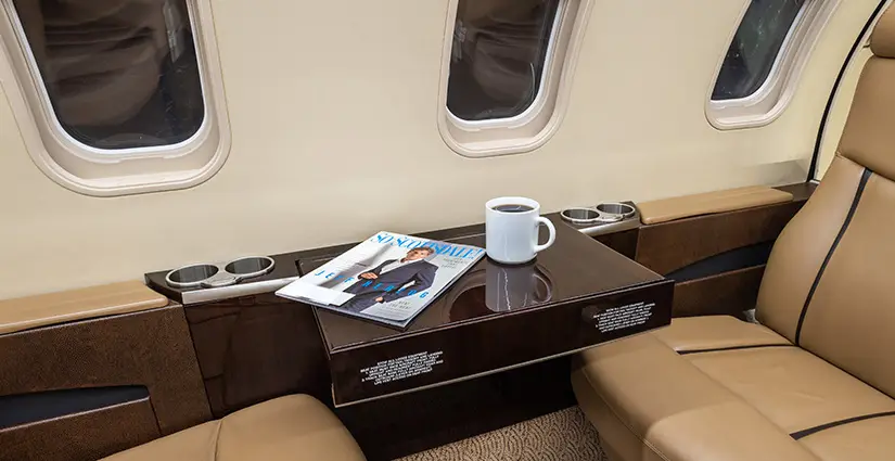 Bombardier Learjet 45XR N365LP operated by Pinnacle Air Charter LLC photo 5