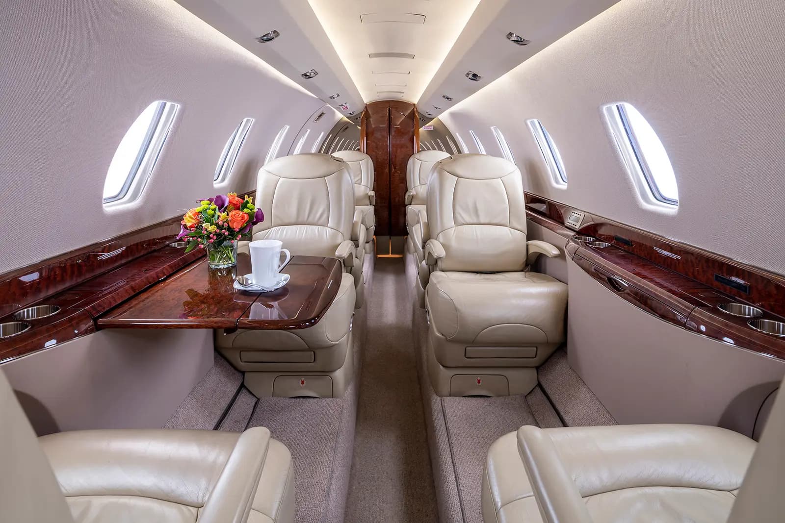 Cessna Citation X N420KM operated by Clay Lacy Aviation, Inc. photo 2
