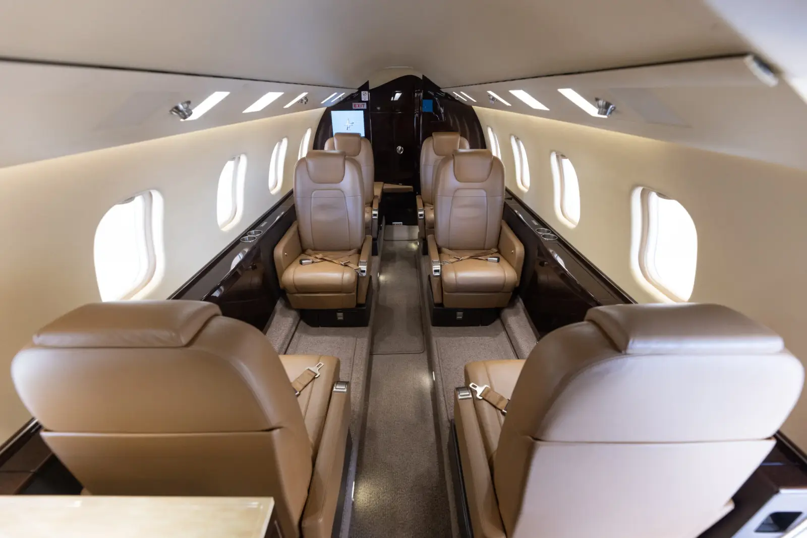 Bombardier Learjet 60XR N425GS operated by Thrive Aviation photo 3