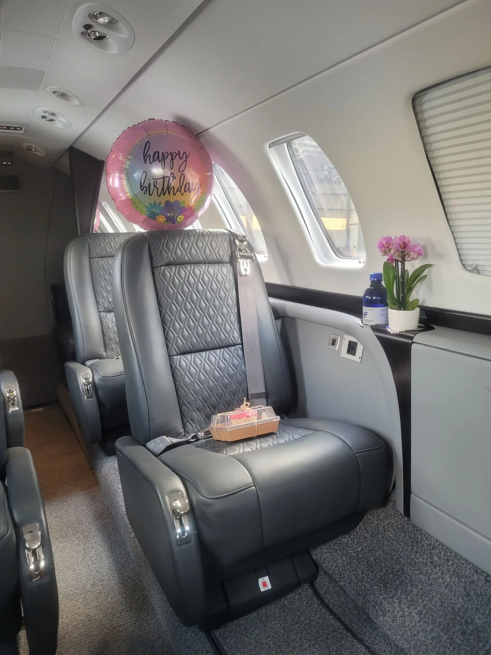 Cessna Citation XLS+ N427PM operated by Malone AirCharter, Inc. photo 3