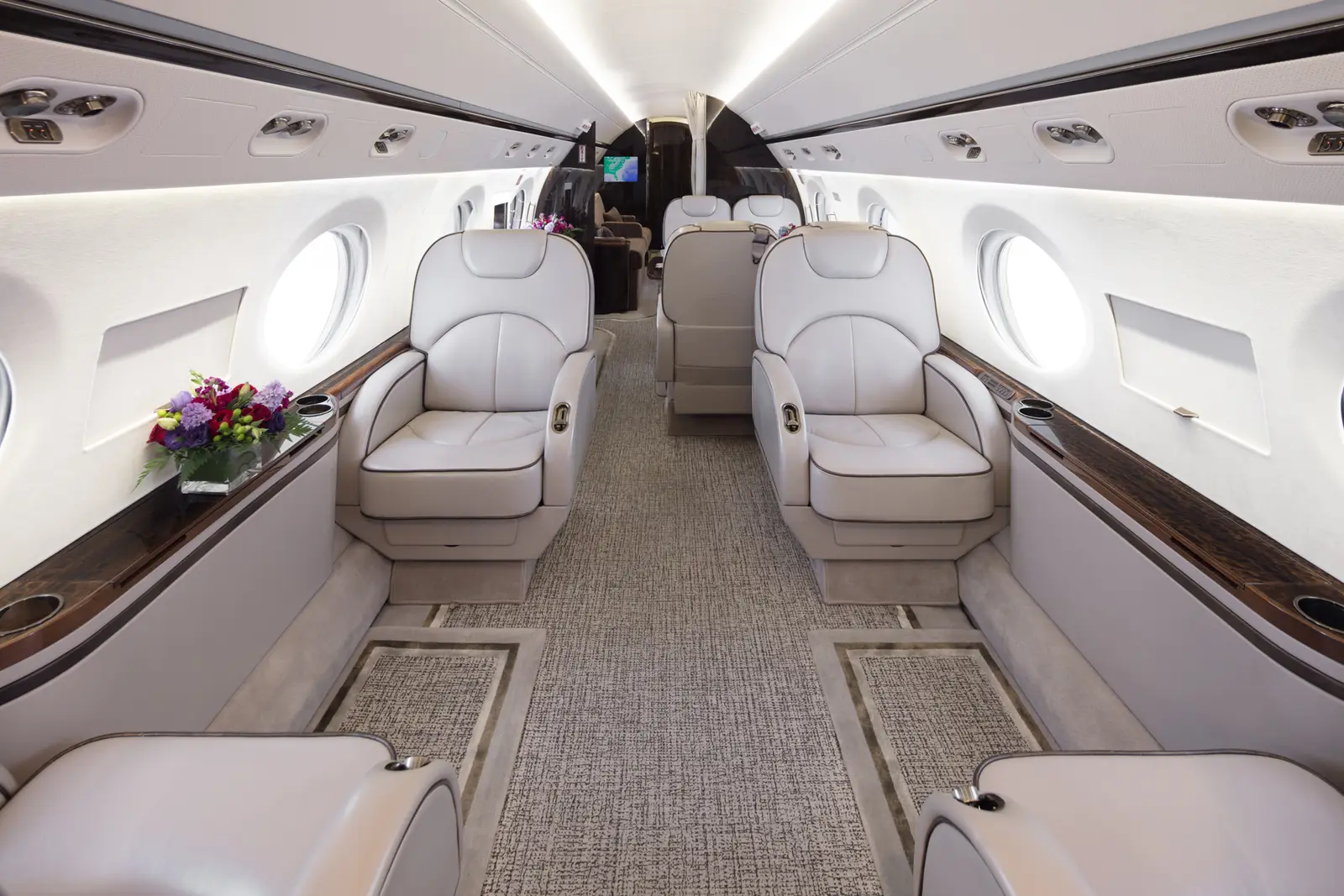 Gulfstream G450 N48PL operated by Schubach Aviation, KCRQ photo 2