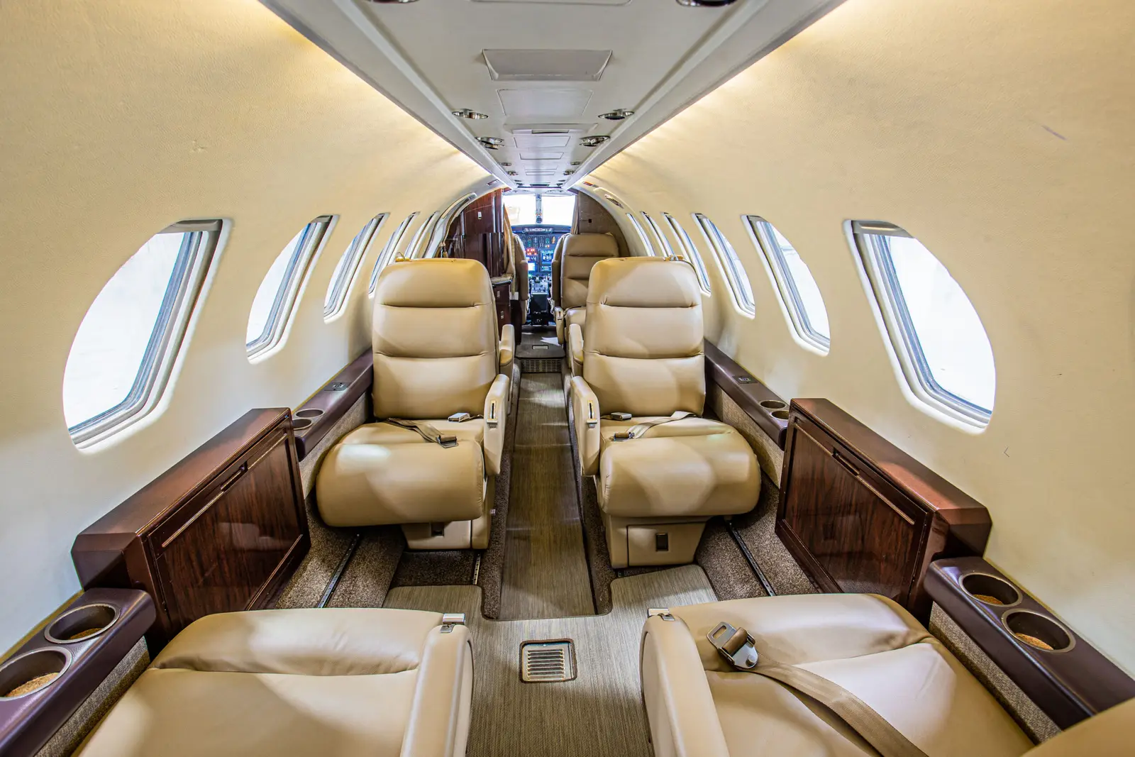 Cessna Citation V N49DK operated by N-Jet photo 3