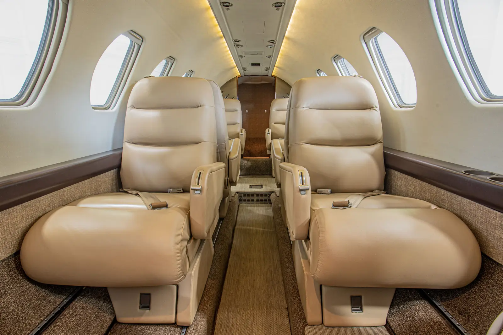 Cessna Citation V N49DK operated by N-Jet photo 6