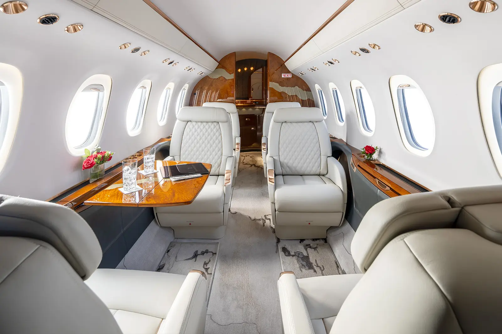 Cessna Citation Latitude N532JM operated by Silver Air photo 2