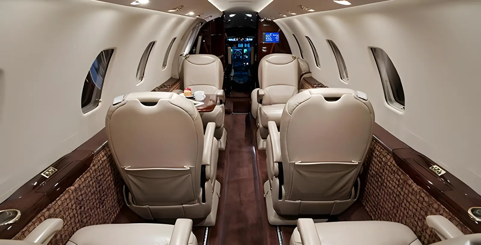 Cessna Citation XLS N560TW operated by Pinnacle Aviation photo 2