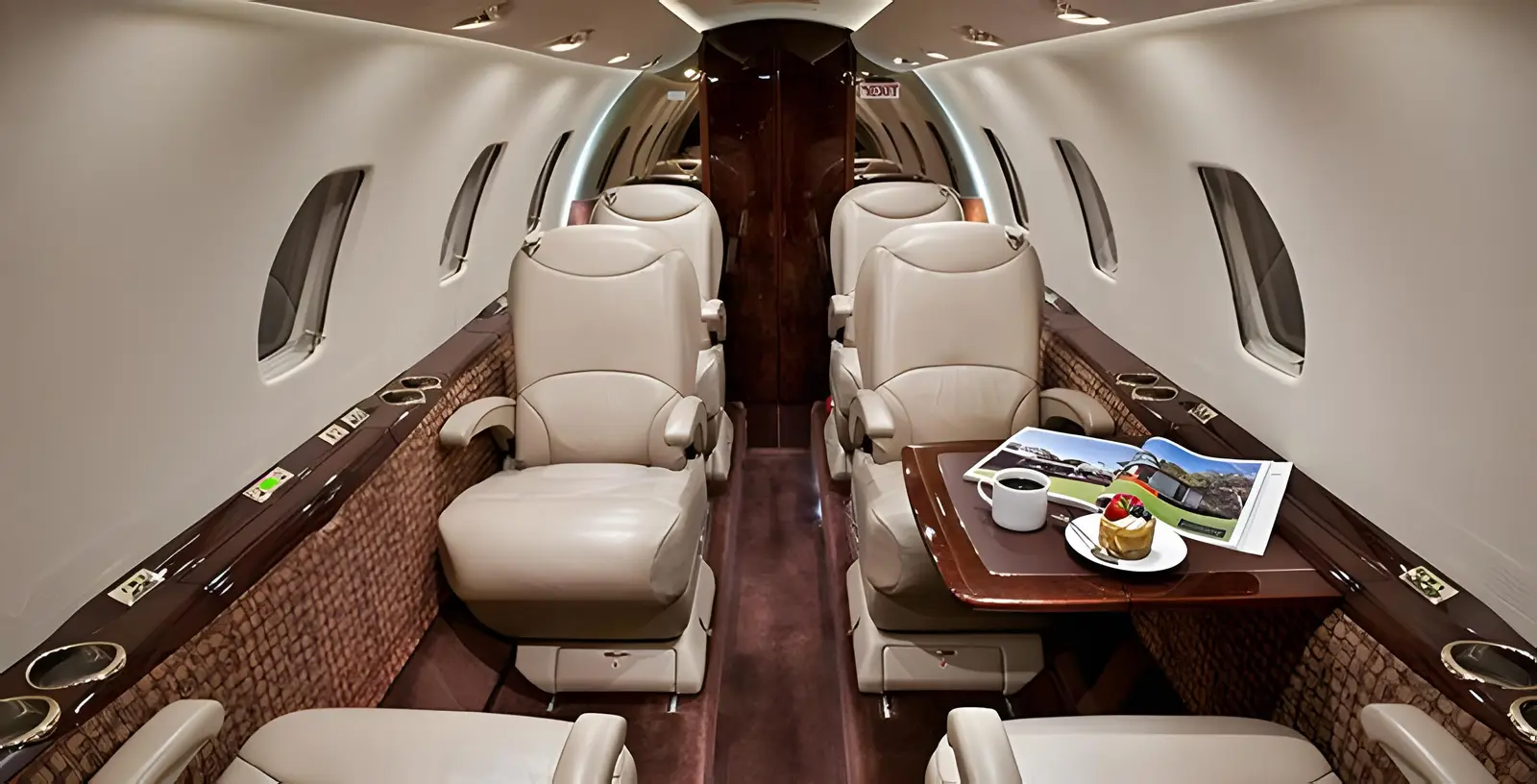 Cessna Citation XLS N560TW operated by Pinnacle Aviation photo 4