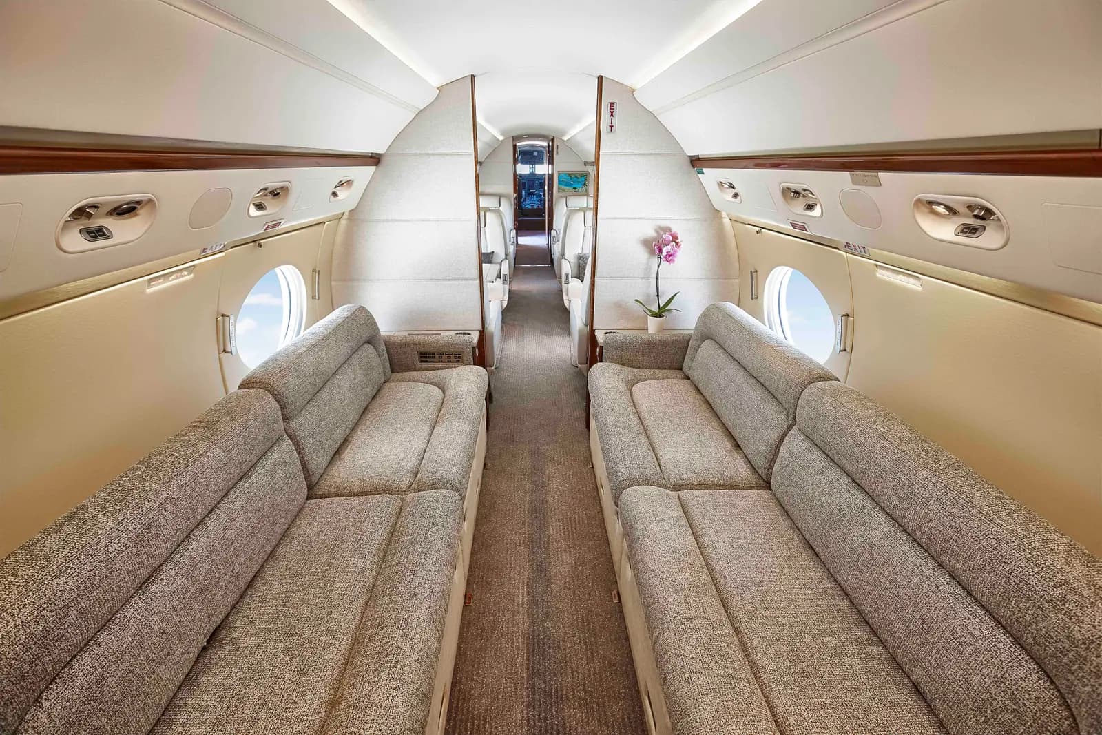 Gulfstream V N585D operated by Aircraft Transport Service photo 3