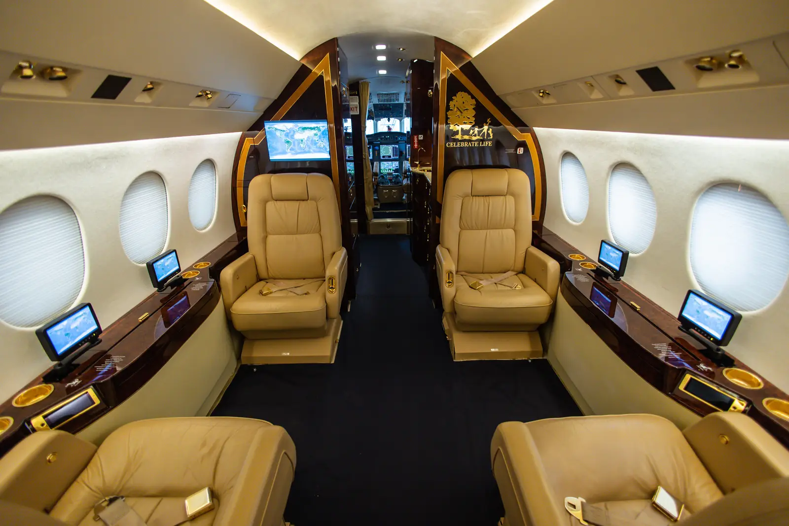 Dassault Falcon 900EX EASy N590CL operated by Solairus Aviation photo 2