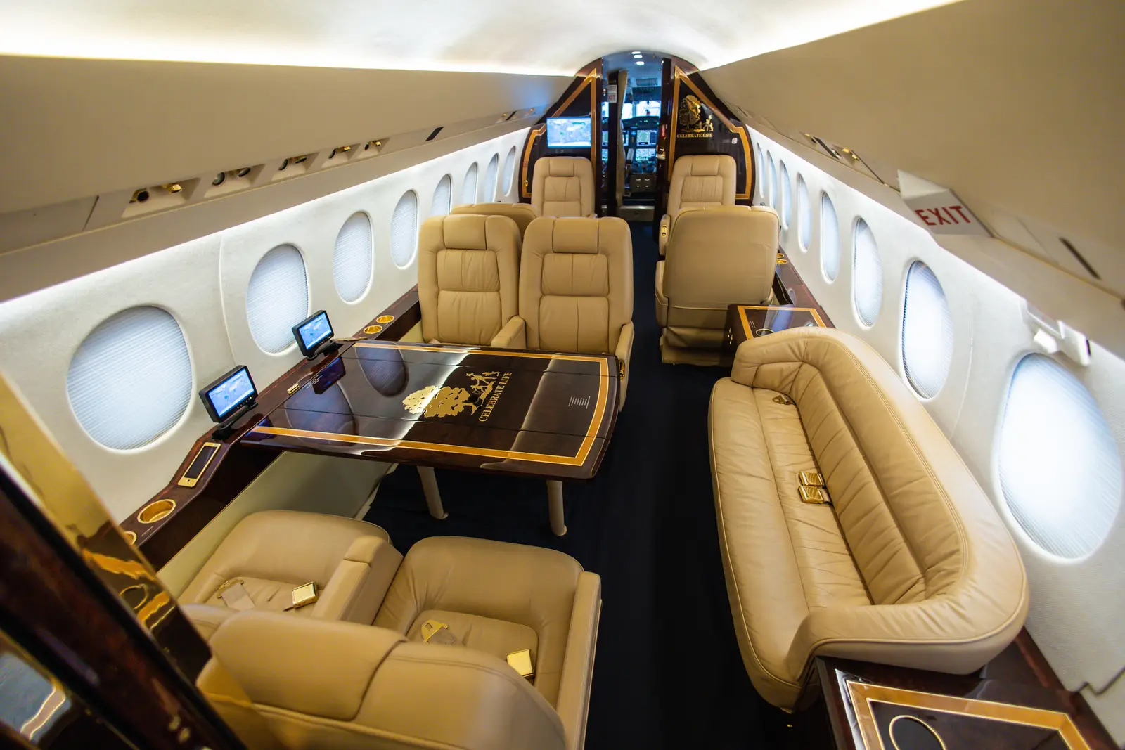 Dassault Falcon 900EX EASy N590CL operated by Solairus Aviation photo 4