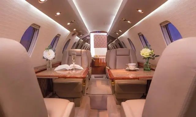 Cessna Citation III N595DC operated by Choice Aviation, LLC photo 2