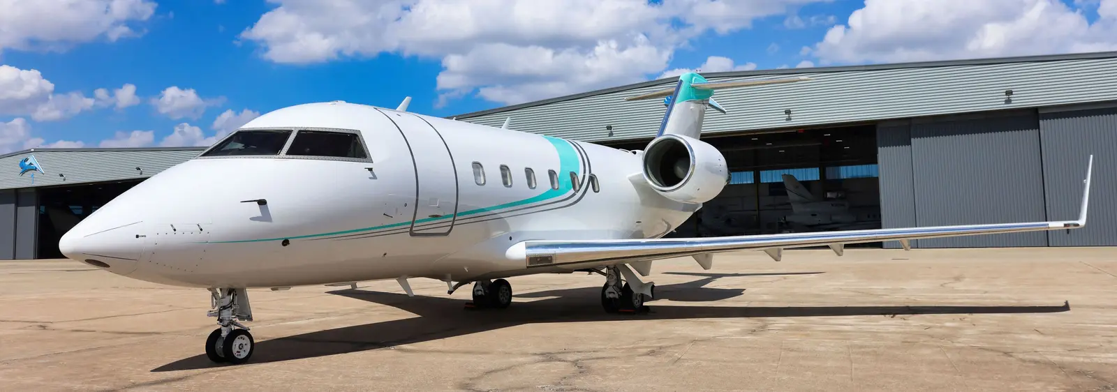 Bombardier Challenger 604 N604AL operated by Tavaero Jet Charter photo 4