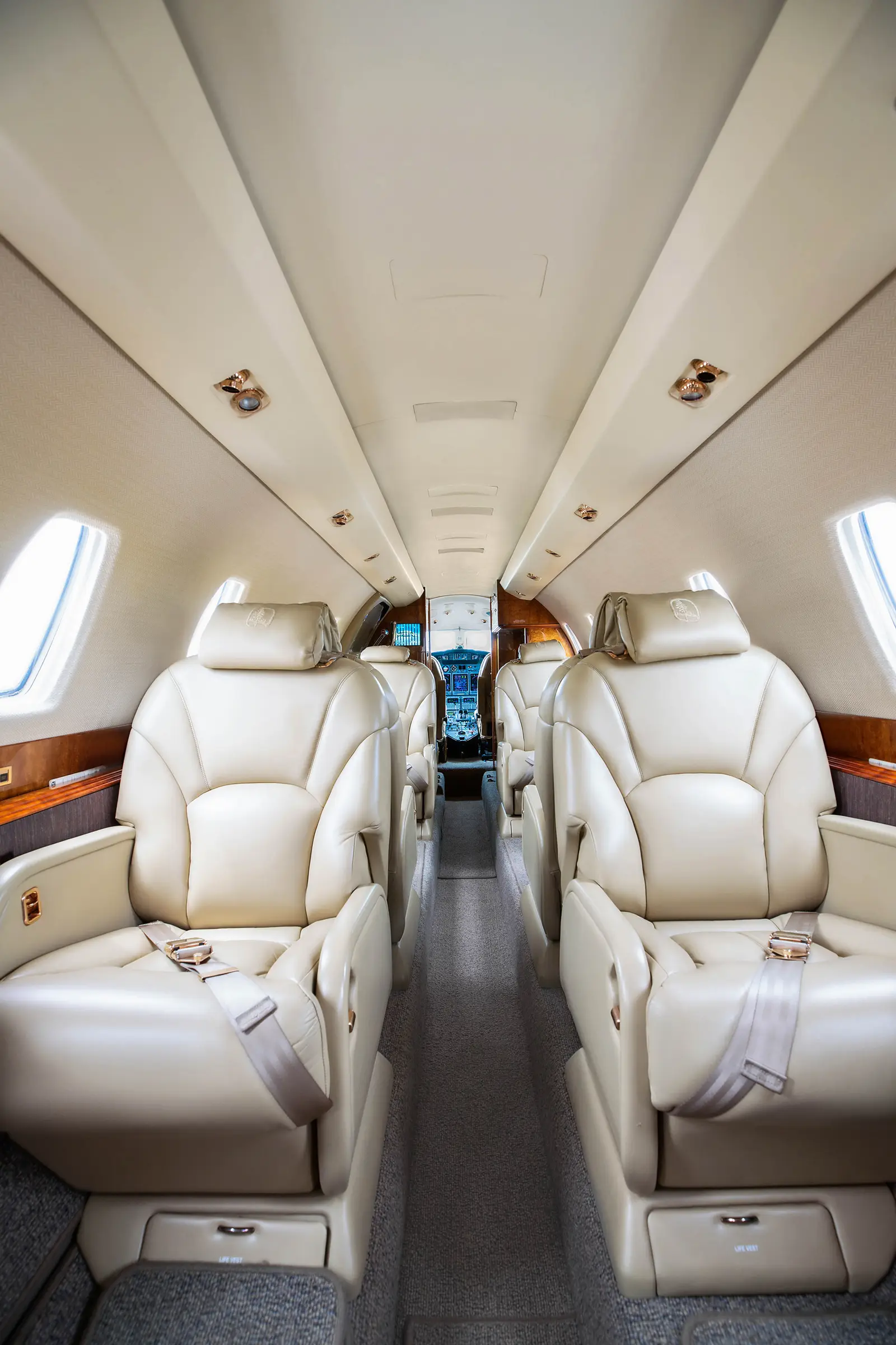 Cessna Citation X N621FP operated by Mountain Aviation photo 3