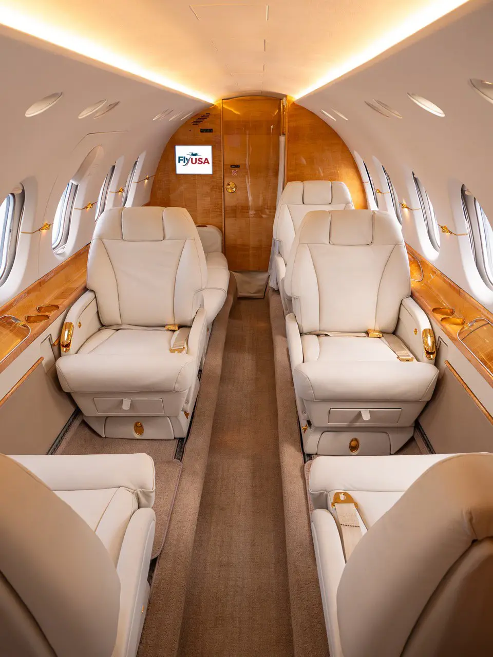 Beechcraft Hawker 800XP N676GH operated by FlyUSA photo 4