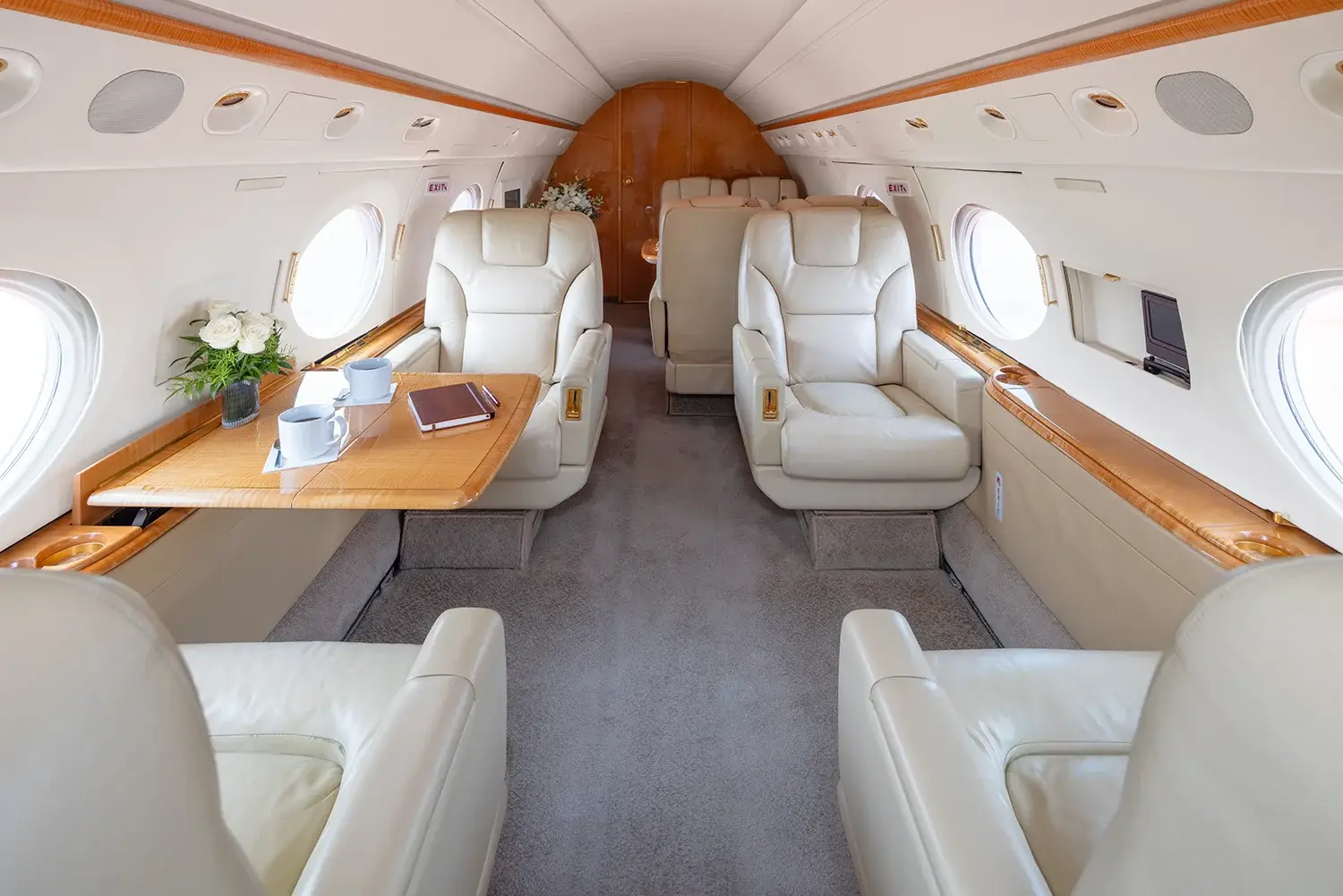 Gulfstream V N740SS operated by Aircraft Transport Service photo 3