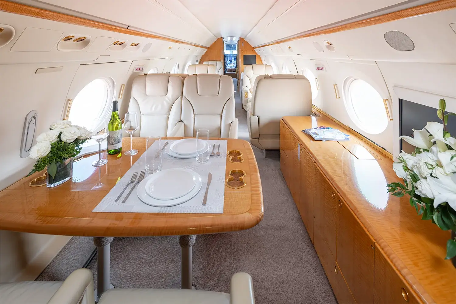 Gulfstream V N740SS operated by Aircraft Transport Service photo 5