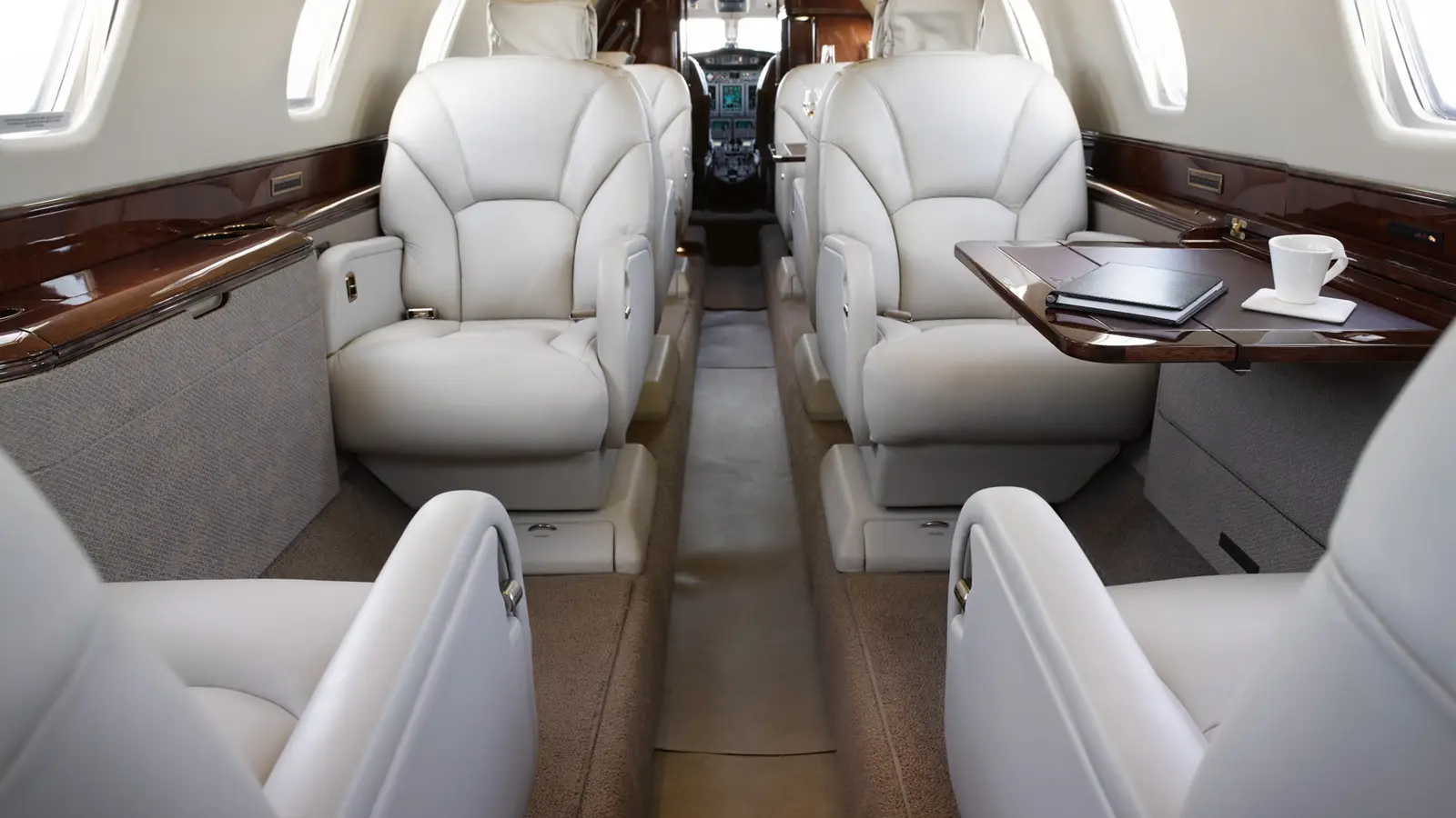 Cessna Citation X N751GT operated by Skyways Charter LLC photo 2