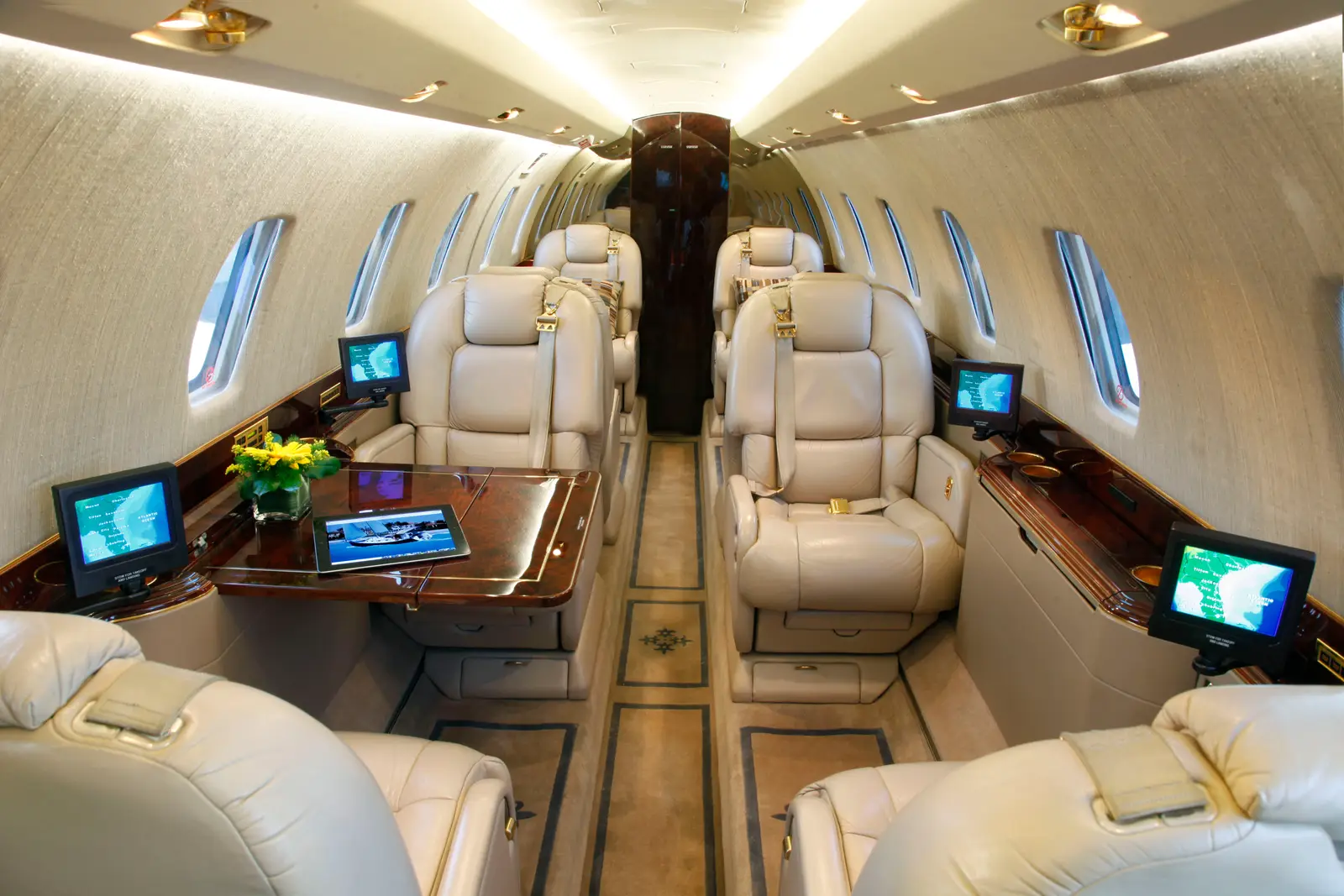 Cessna Citation X N75HS operated by Century Aviation, Inc. photo 2