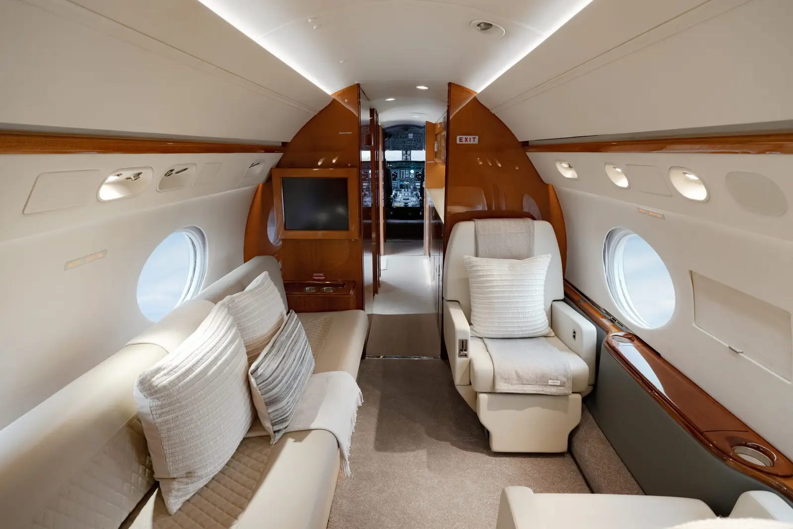 Gulfstream V N780W operated by Fly Alliance photo 3