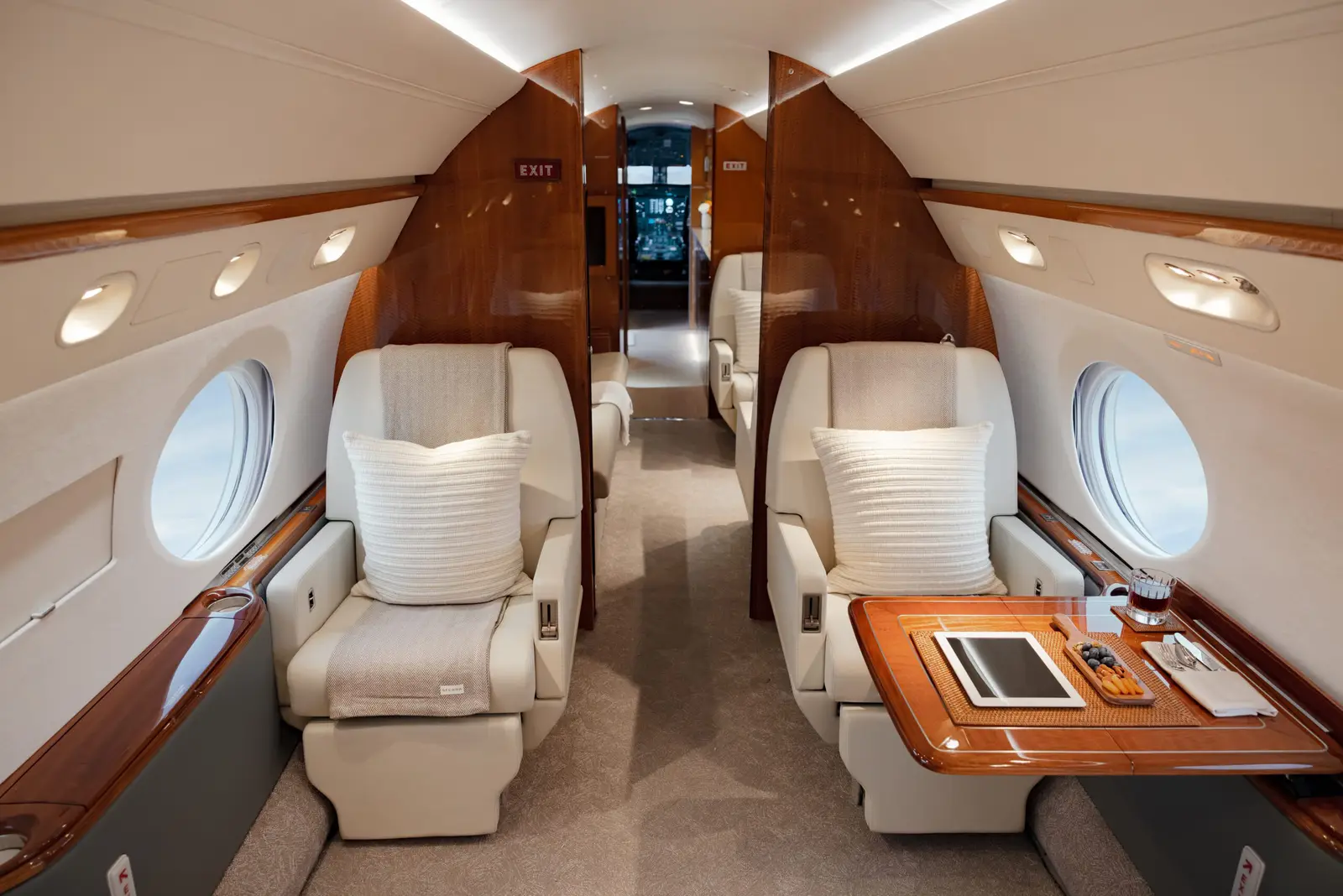 Gulfstream V N780W operated by Fly Alliance photo 4