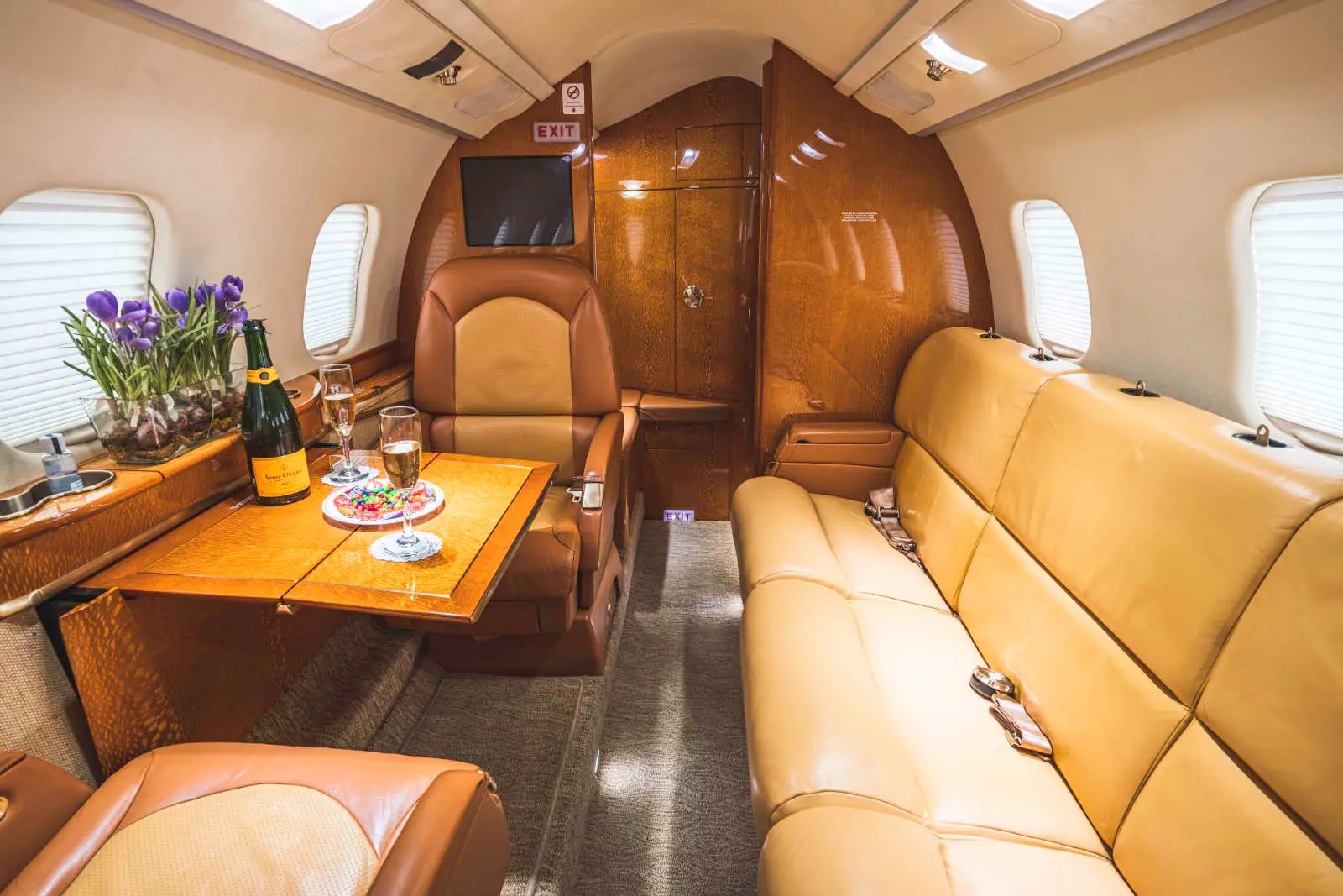 Bombardier Learjet 60XR N787TS operated by International Jet Aviation Services, Inc. photo 2