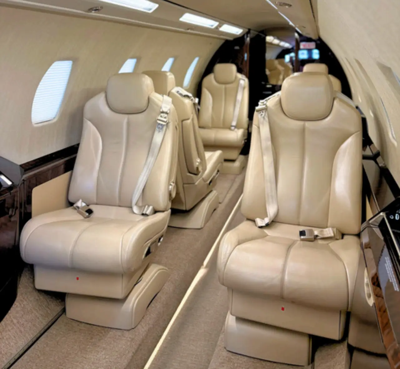 Cessna Citation Sovereign+ N799MJ operated by Thrive Aviation photo 3