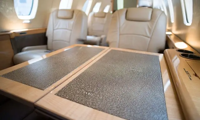 Cessna Citation III N820FJ operated by Trinity Private Jet Charter photo 4