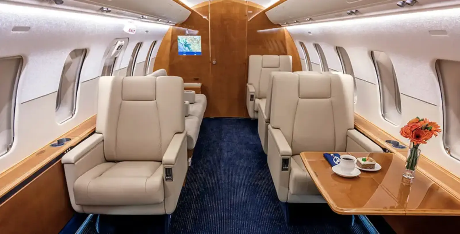 Bombardier Challenger 605 N895CC operated by Pinnacle Aviation photo 2