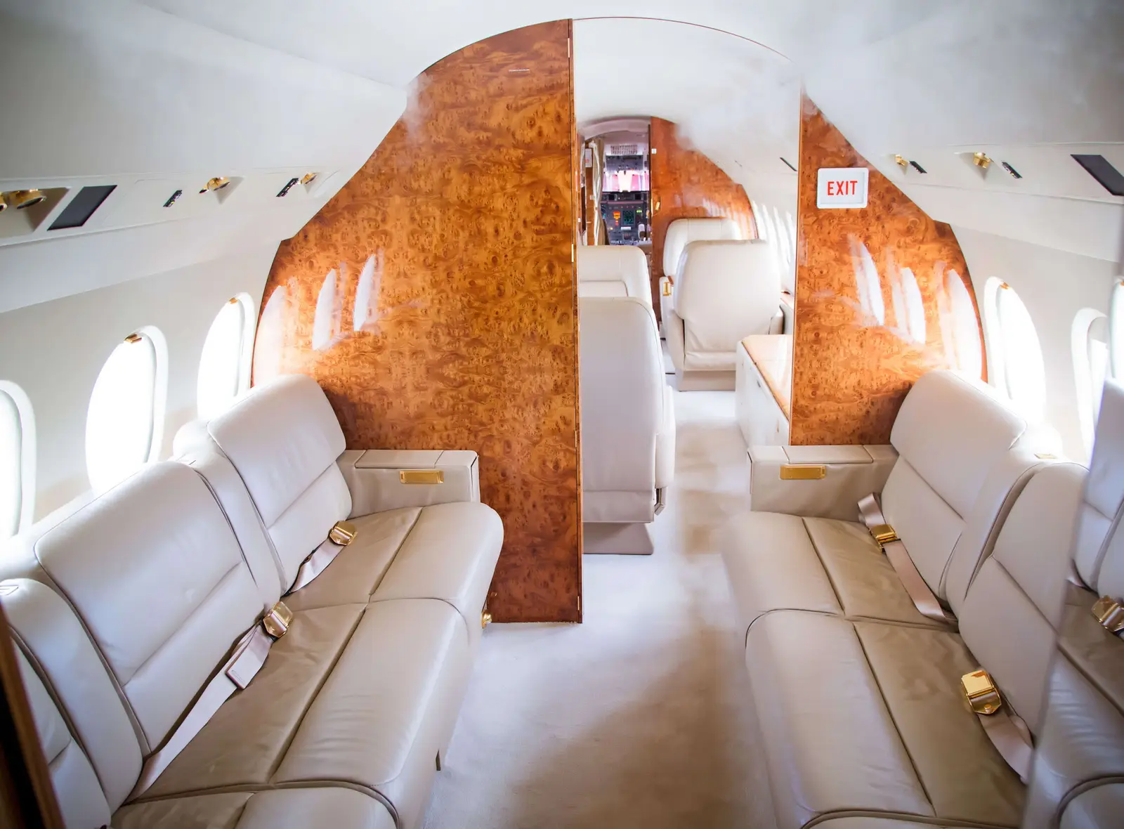Dassault Falcon 900EX N900HG operated by M&N Aviation, Inc. photo 2