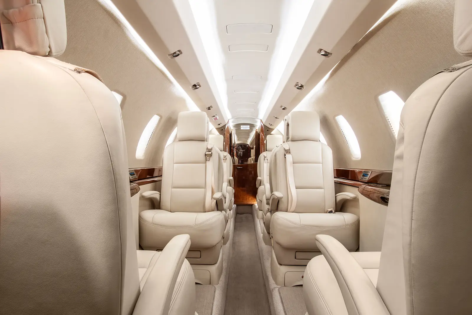 Cessna Citation X N910DP operated by Wing Aviation Charter Services, LLC photo 2