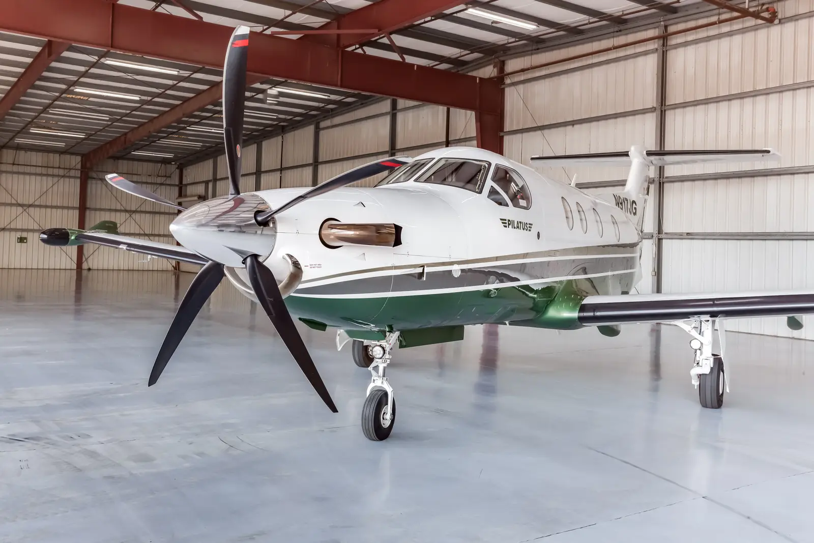 Pilatus PC-12/47 NG N917JG operated by Modesto Jet photo 5