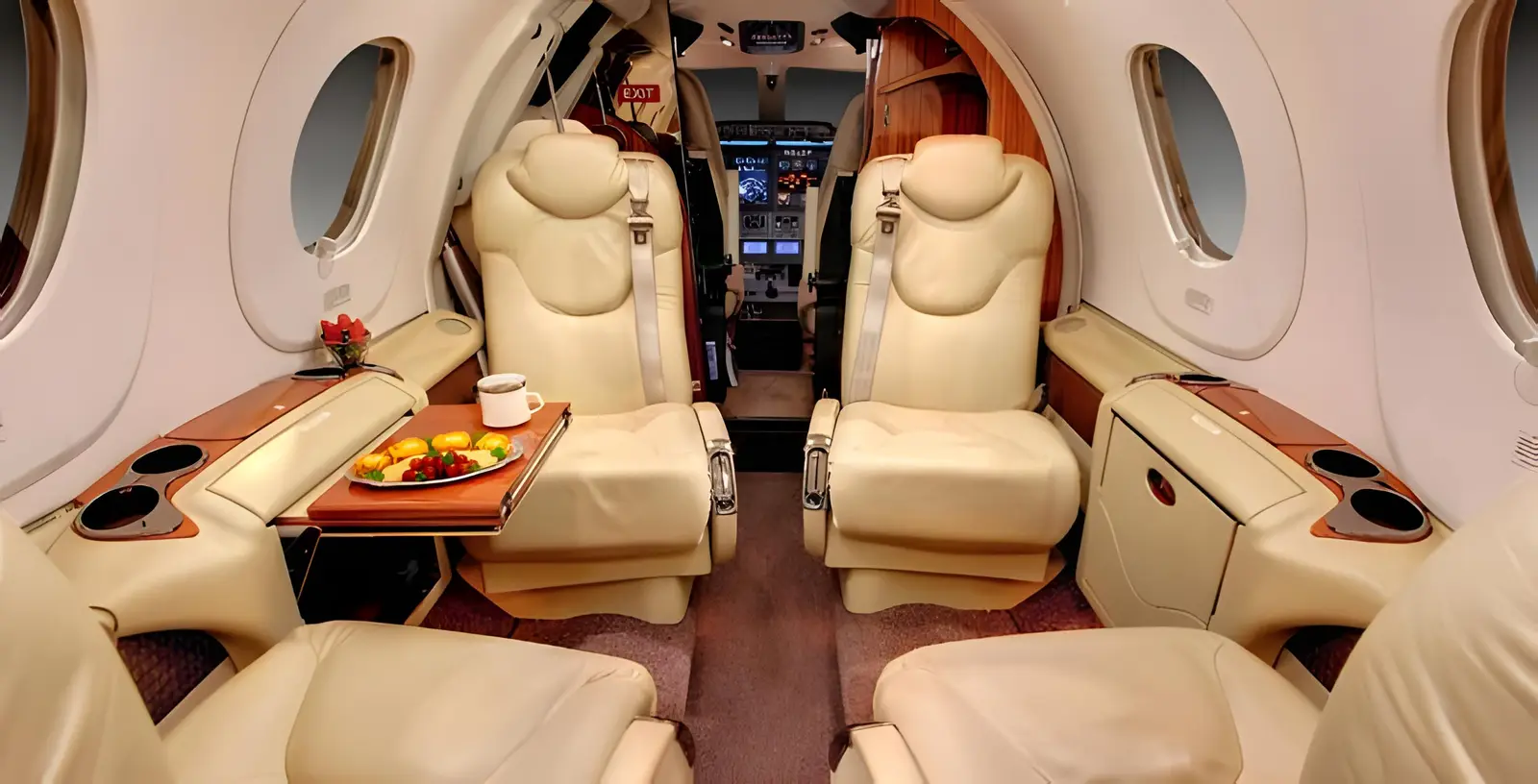 Beechcraft Premier 1 N964TS operated by Pinnacle Air Charter LLC photo 6
