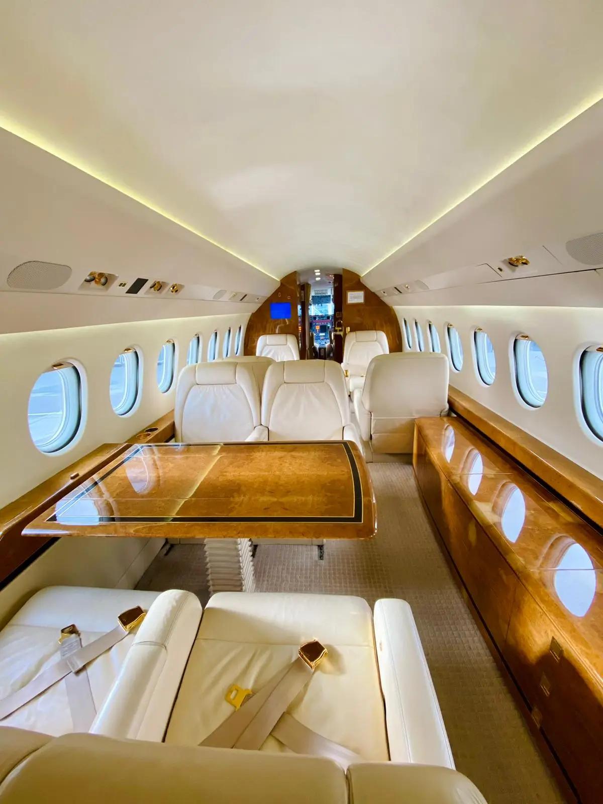 Dassault Falcon 900EX OE-IDM operated by MHS Aviation GmbH photo 2