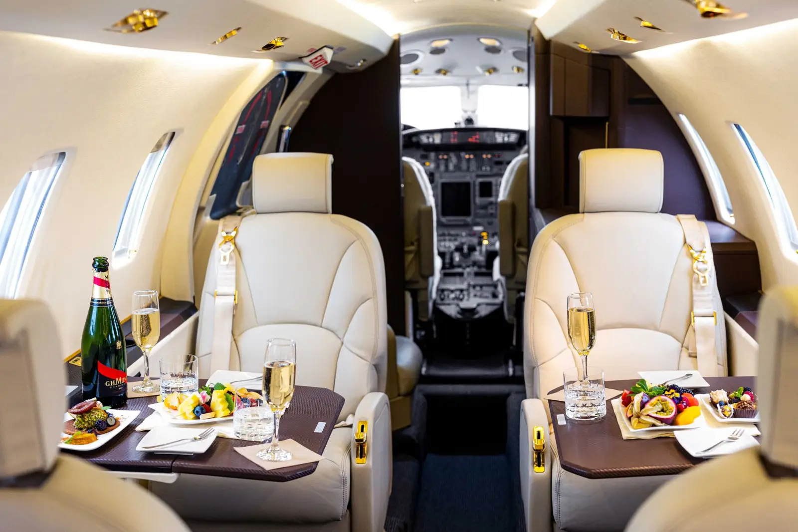 Cessna Citation XLS OK-CAA operated by Silesia Air s.r.o. photo 2