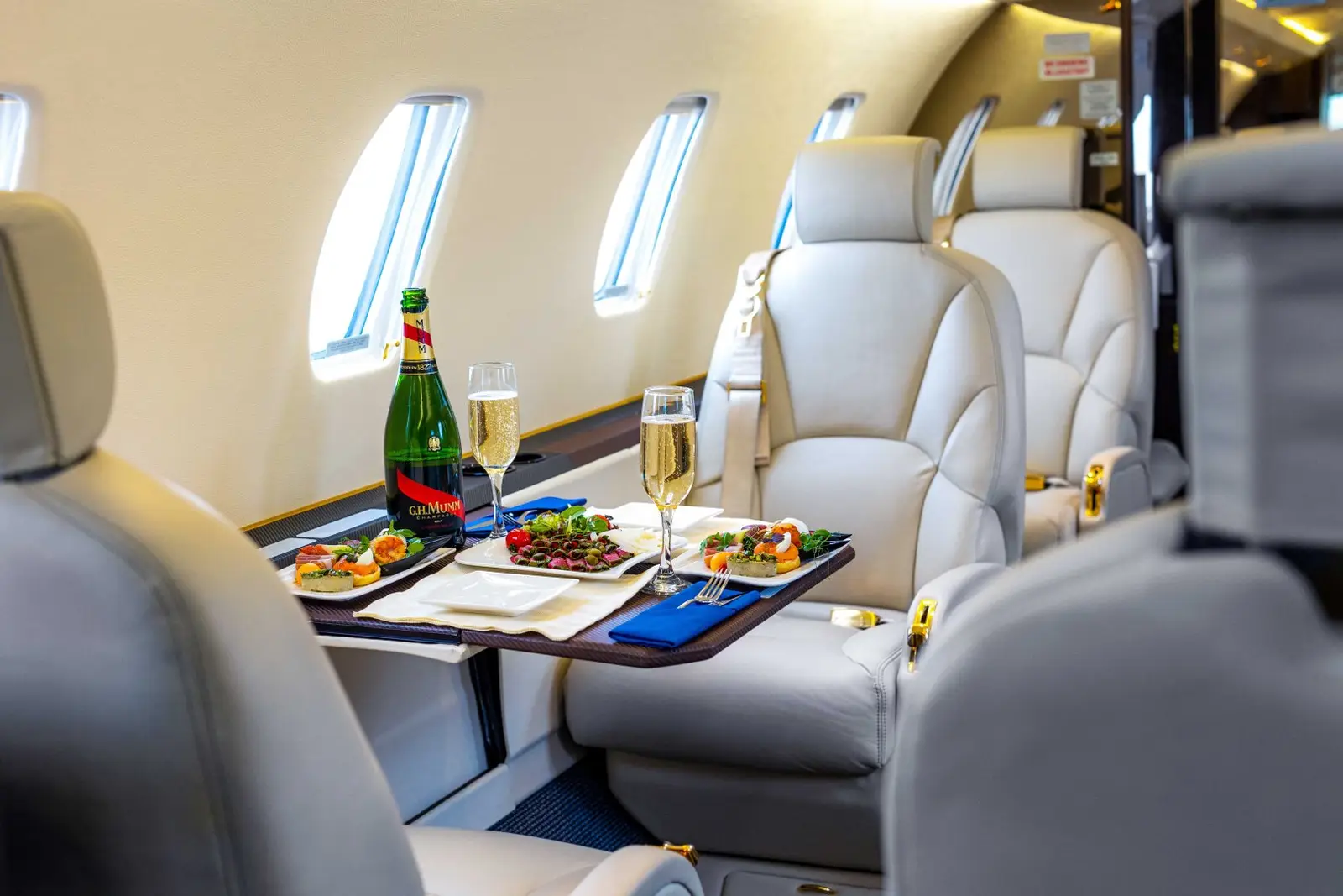 Cessna Citation XLS OK-CAA operated by Silesia Air s.r.o. photo 6