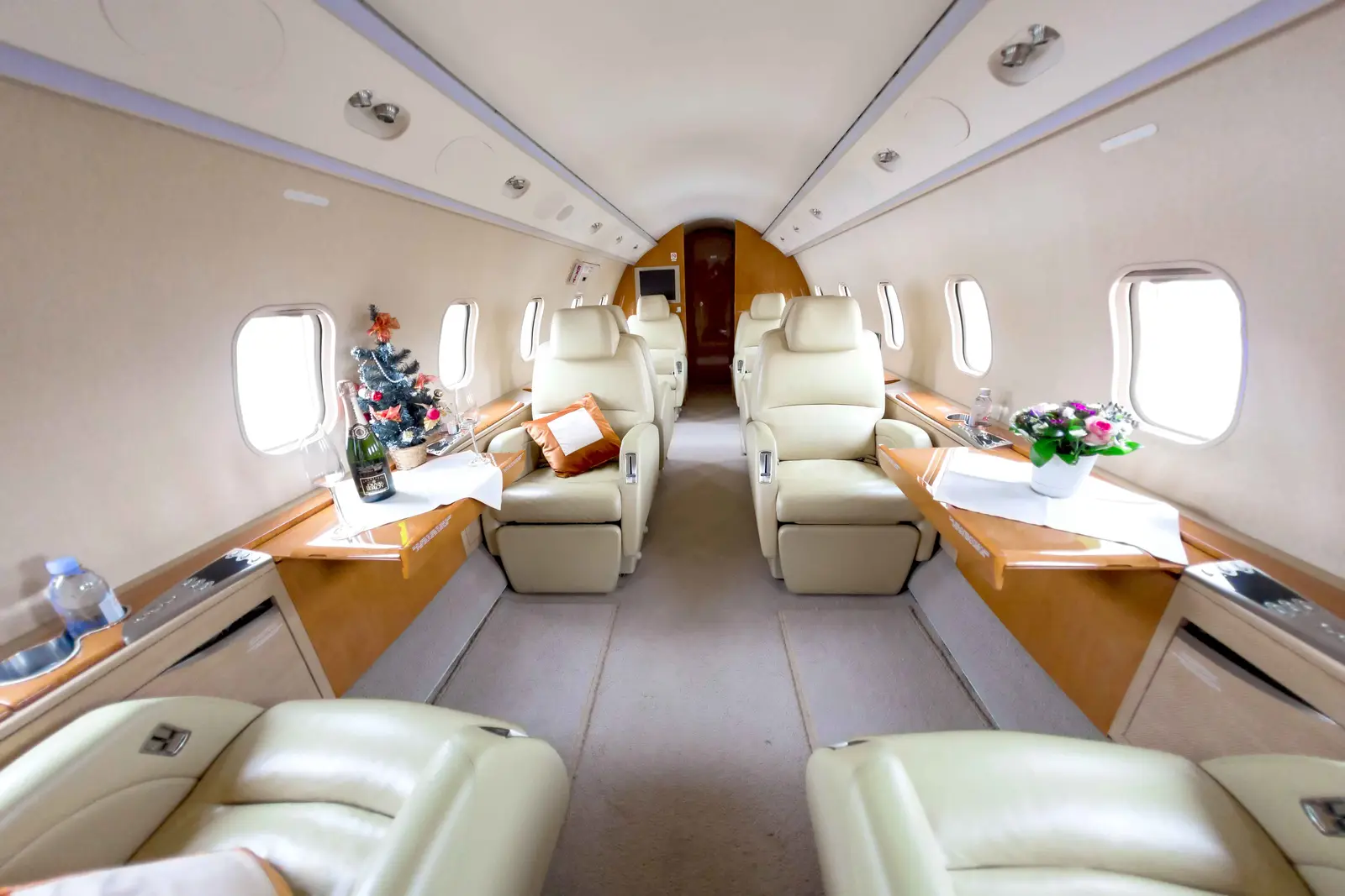 Bombardier Challenger 300 RA-67224 operated by Jetport Charters photo 2